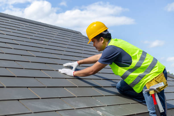 Best Roof Gutter Cleaning  in Millers Falls, MA