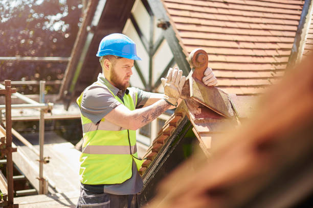 Best Roof Gutter Cleaning  in Millers Falls, MA